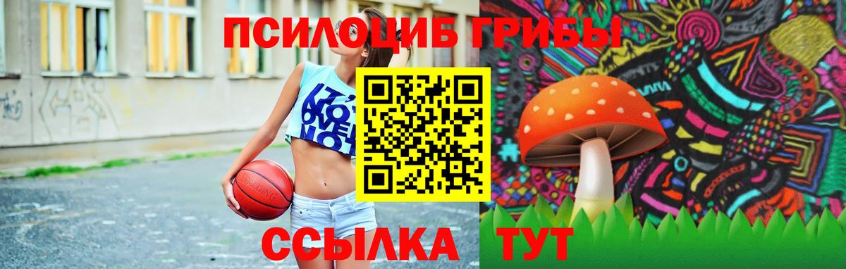 Псилоцибиновые грибы Psilocybe Семёнов