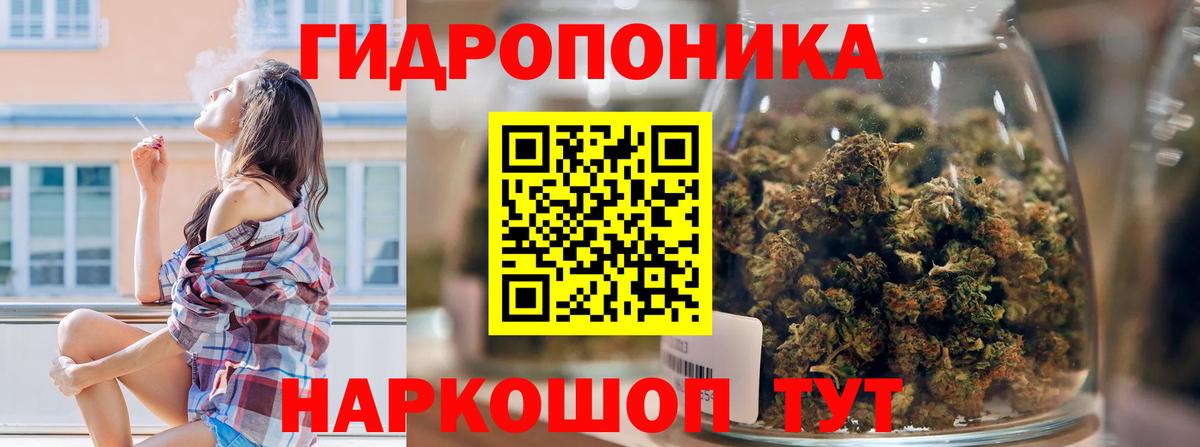 Шишки марихуана тримм  Вход с VPN  Конопля марихуана  Семёнов  Бошки марихуана тримм 